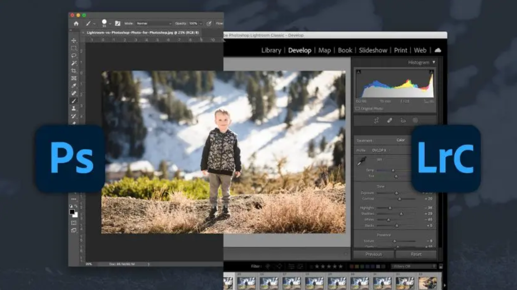 Lightroom vs Photoshop